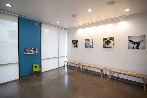 Thrive Pet Healthcare - Fountainview