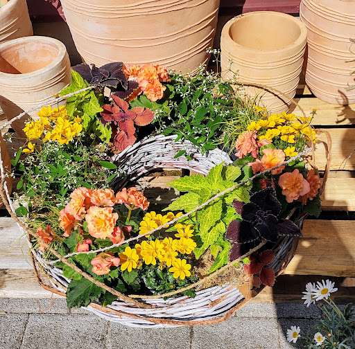 1A Blumen Beck - Thumbnail