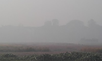 Photos of সৈয়দ মিয়ার মসজিদ
