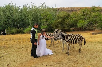 Photos of Nguni Ranch