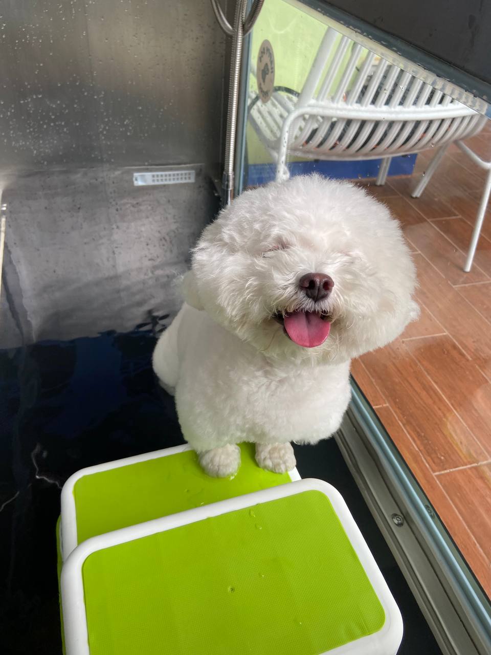 Happy Dog Hydro