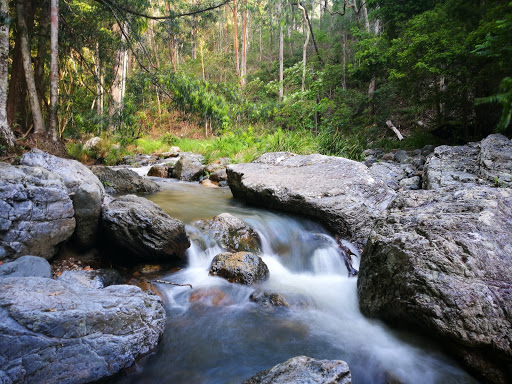 Northbrook Gorges - Thumbnail