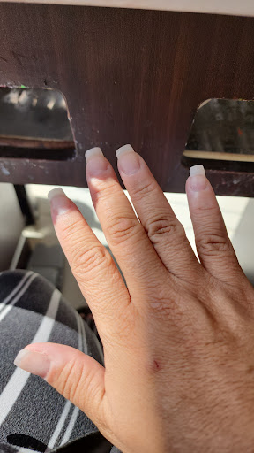 Flex Nails & Spa Logo