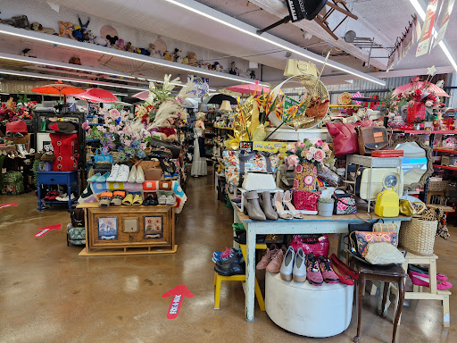 Vinnies Braddon - Thumbnail