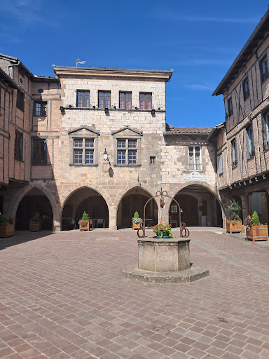 Photo de Cité médiévale à Castelnau-de-Montmiral (81140)