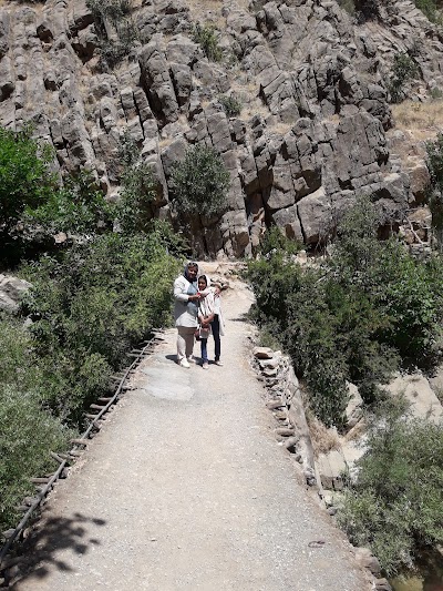Photos of پالنگان