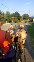 Photo n°1 de Mon rêve en calèche à Benque (Association bénévole)