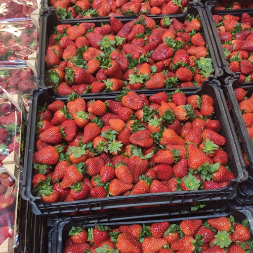 Mifruta.es - Thumbnail