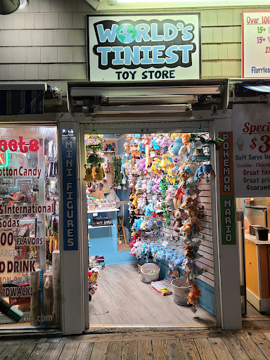 World's Tiniest Toy Store - Thumbnail