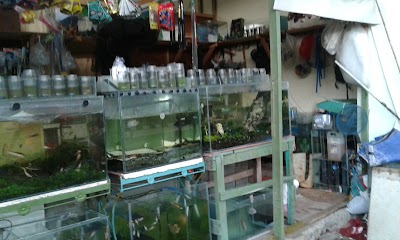 Photos of Toko Aquarium Wahyu