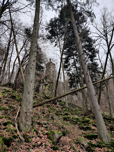 Burgruine Karlsburg - Thumbnail