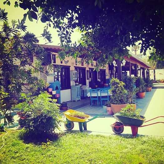 İskele Balık