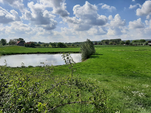 Rowandelen