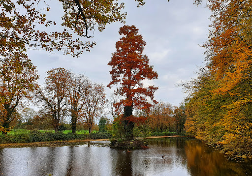 Parkplatz Schloss Haag Gallery - Germany