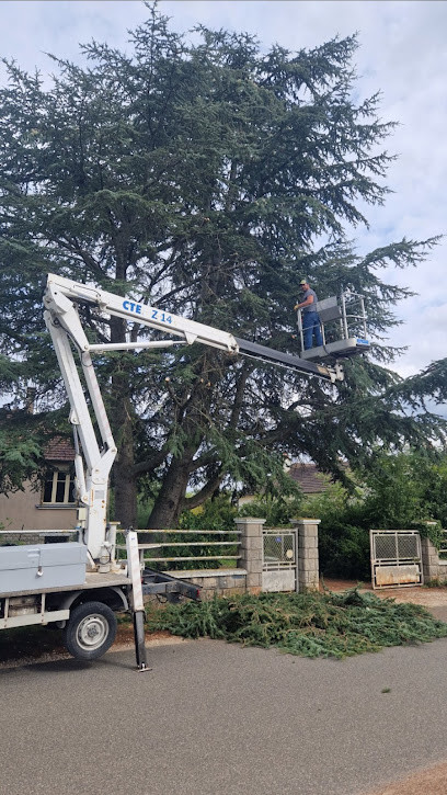 F.B. ÉLAGAGE/ élagueur/ paysagiste