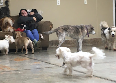 A Pet Villa Pet Boarding Daycare and Grooming