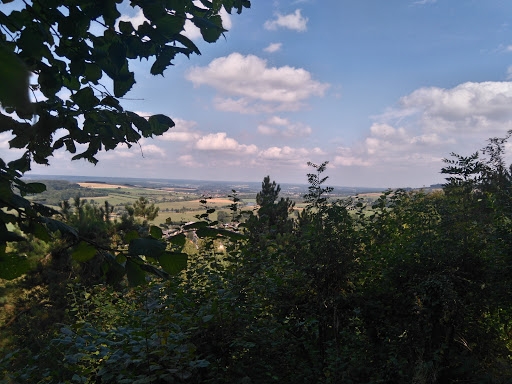 Photo de Dom-le-Mesnil