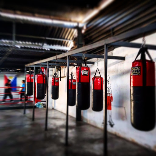 Big Boxing - Visual