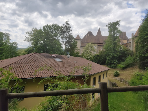 Photo de Château de Saint Sorlin