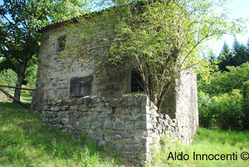 Gragnana - Visual