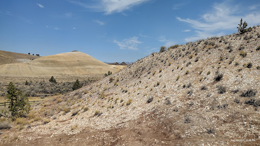 Leaf Hill Trail