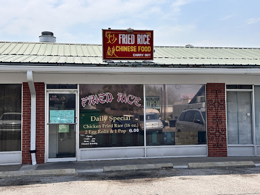Fried Rice - Visual