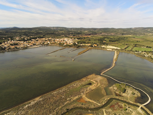 Étang de Peyriac de mer - Thumbnail