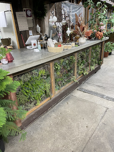 Mosaic Home and Garden - Thumbnail