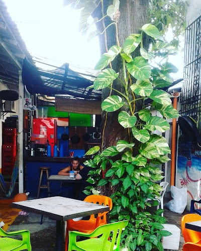 Photos of TREE HOUSE HOSTEL