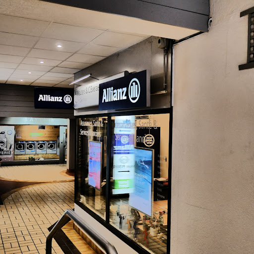 Allianz Assurance CHAMONIX - A WAUTERS & C EVERAERE Gallery - France