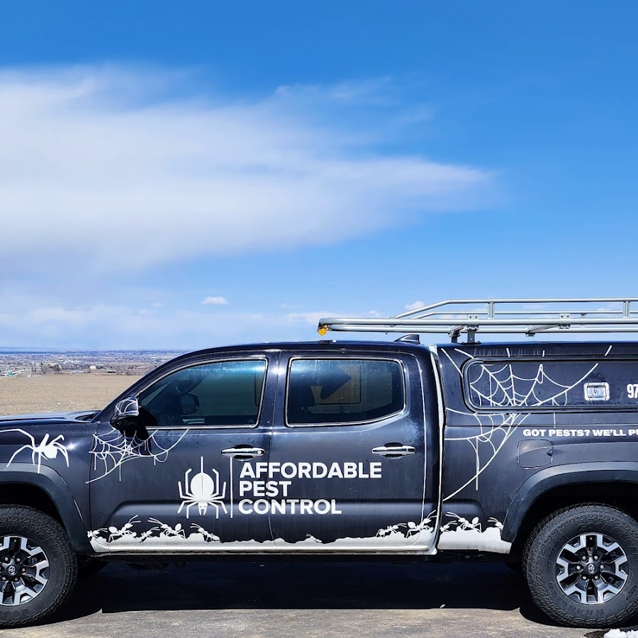 Affordable Pest Control