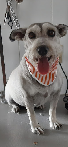 VETERINARIA LA COLMENA