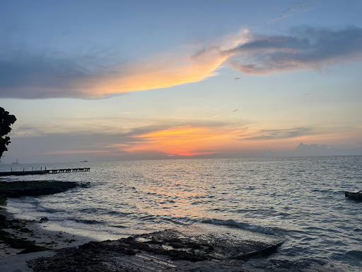 playa nel