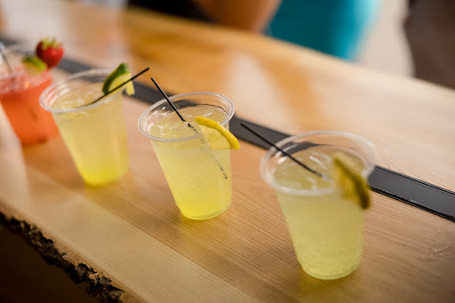 The Minnesocial-A Mobile Bar Co - Thumbnail