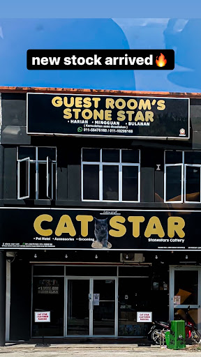 cat star
