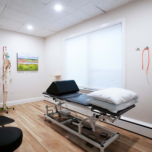 Scotia Physiotherapy Gallery - United States