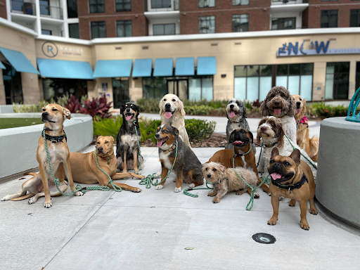 Picture of City Beautiful