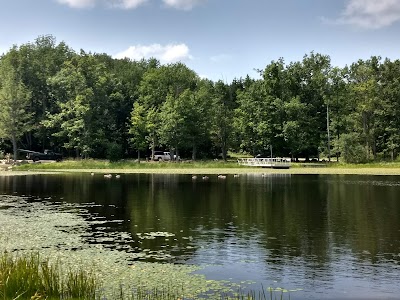 Allen Lake State Forest