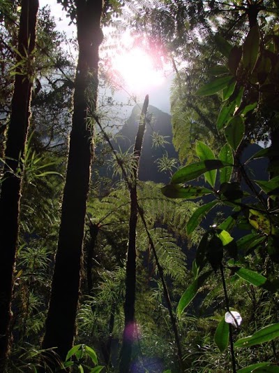 Photos of Cotapata National Park and Integrated Management Natural Area