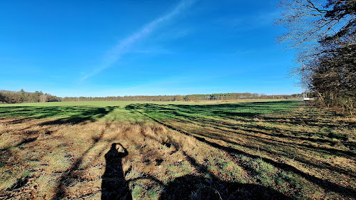 Staffelder Feld - Visual