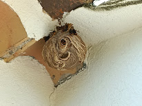 FL3D à La Garde-Freinet