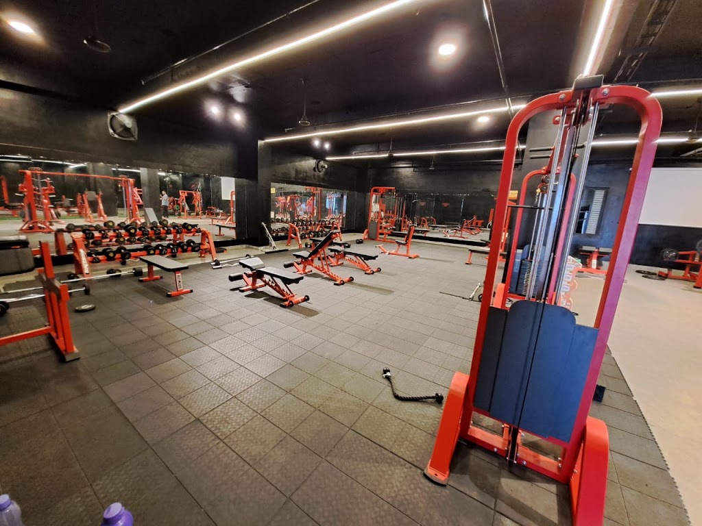 The Muscle Factory Gym Raigarh