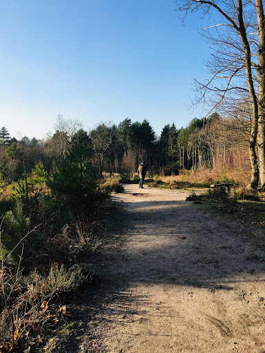 Copsem Lane Car Park - Thumbnail