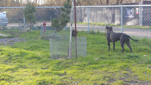 Fortuna Dog Park - Thumbnail