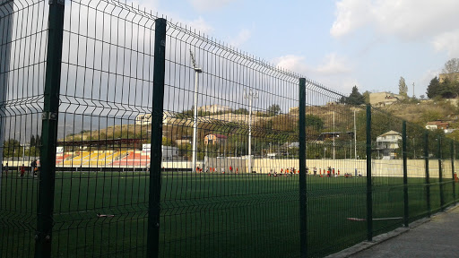 Avchala Rugby Stadium Gallery - United States