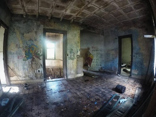 Palacio en el bosque, Author: Hebert Coello