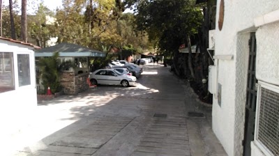 Photos of مجموعه ورزشی باغ گلستان
