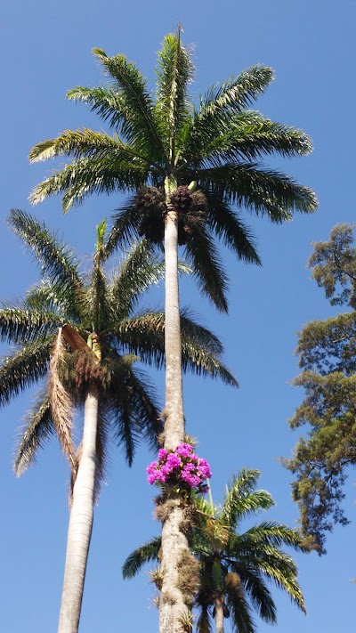Photos of Palms Park