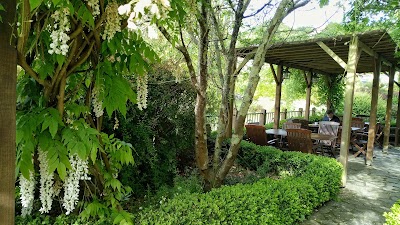 Photos of La Suite del Eume