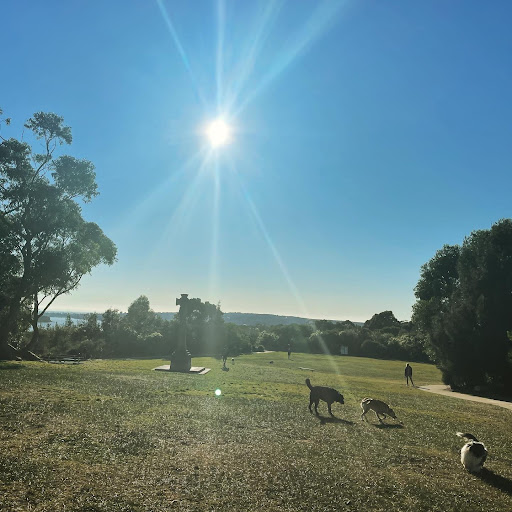 Rawson Oval - Thumbnail